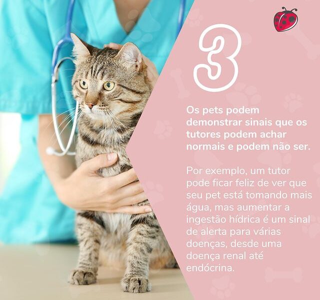 Vetkin Consultório Veterinario